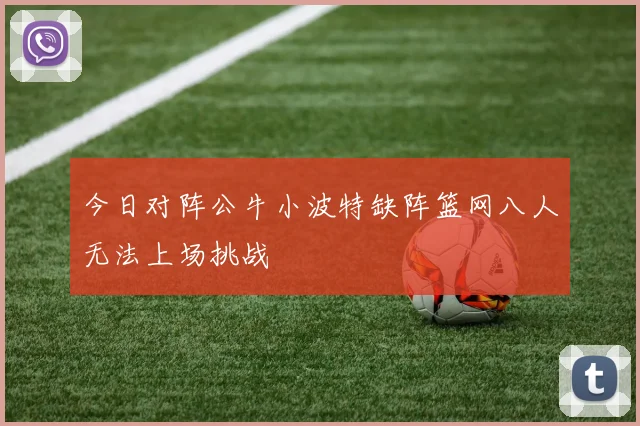 今日对阵公牛小波特缺阵篮网八人无法上场挑战