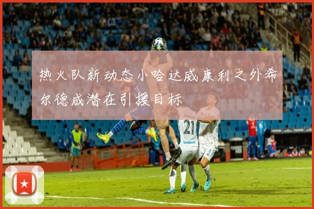热火队新动态小哈达威康利之外希尔德成潜在引援目标